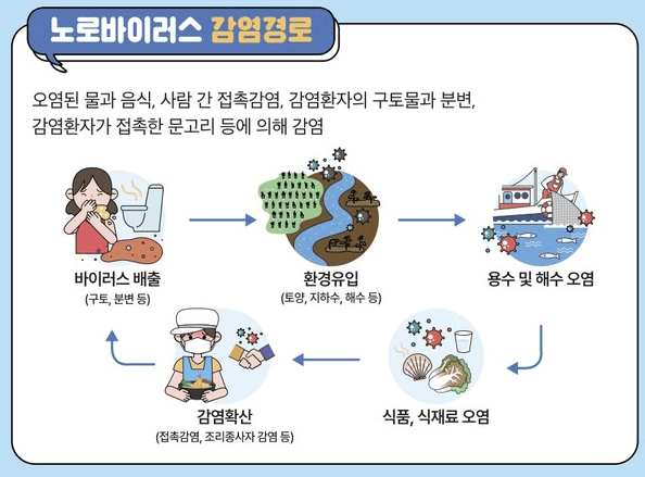 노로바이러스와 장염 비교
