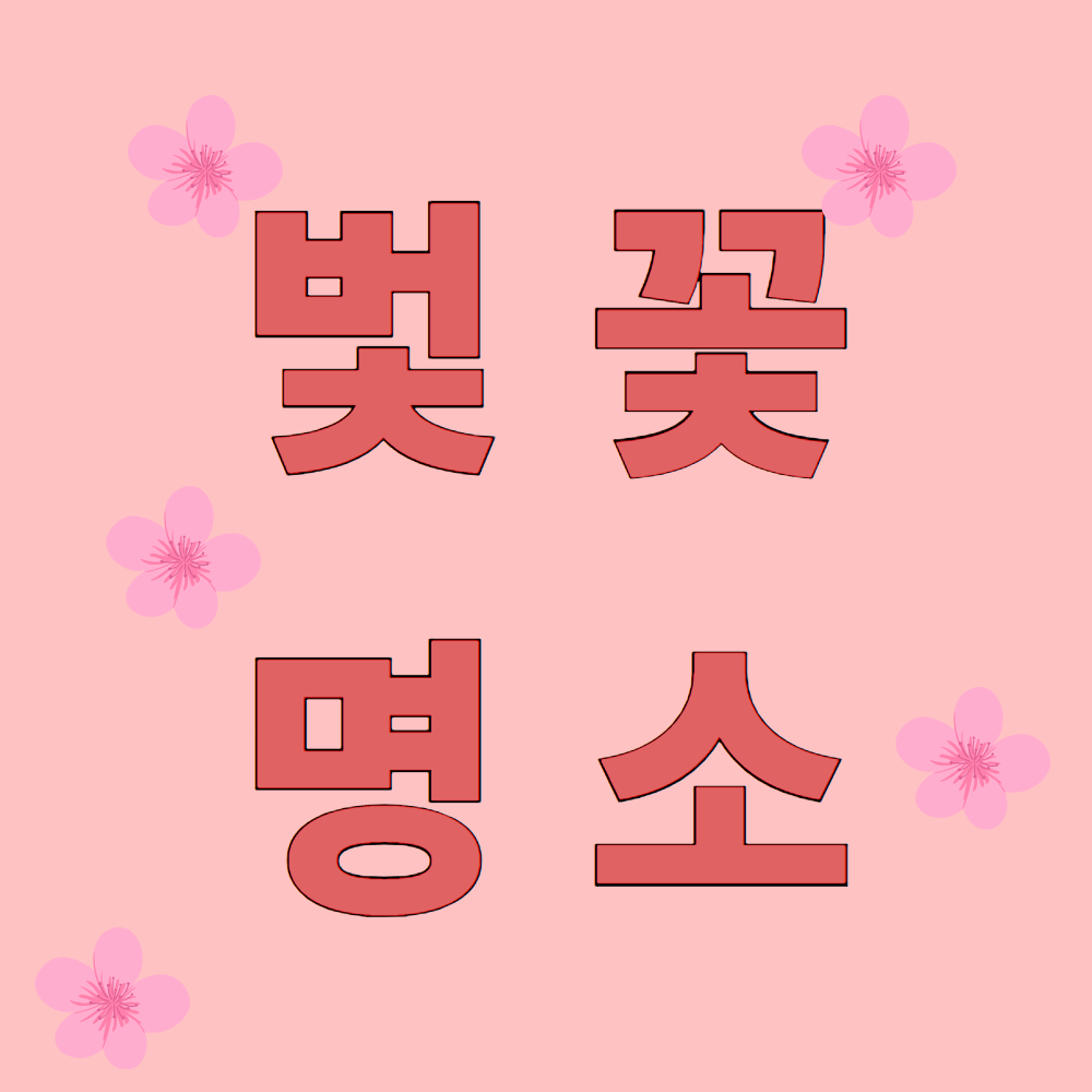 벚꽃 명소 사진