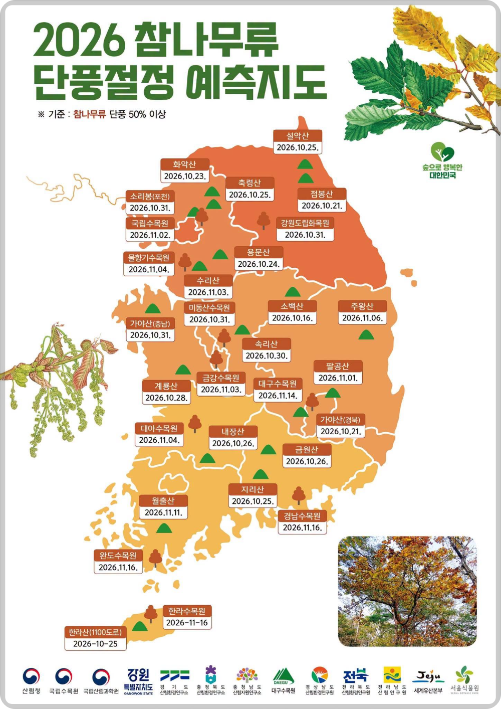 산림청 단풍지도 이미지