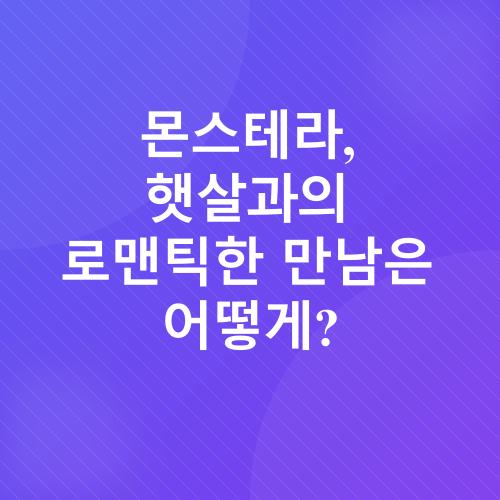 몬스테라 키우기_1