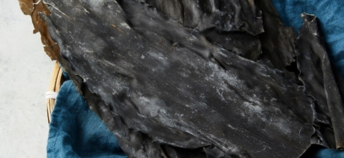 마그네슘 이미지