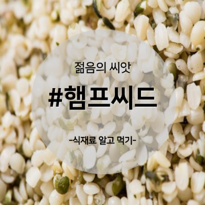 햄프씨드