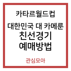 카타르월드컵 대한민국 대 카메룬 친선경기 예매방법