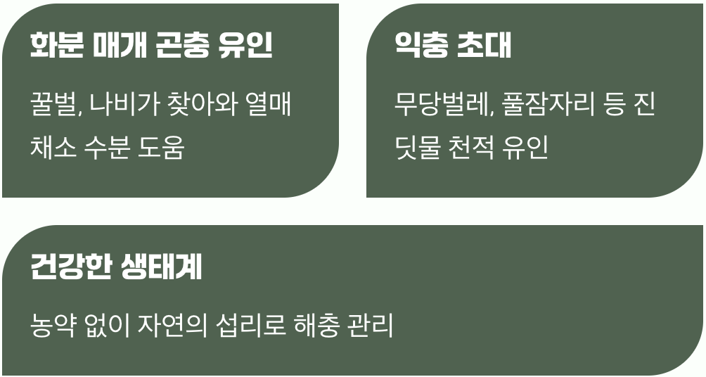 이로운 벌레들의 맛집