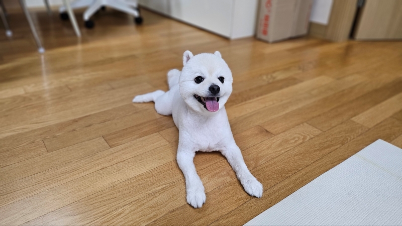 폼피츠 미용30