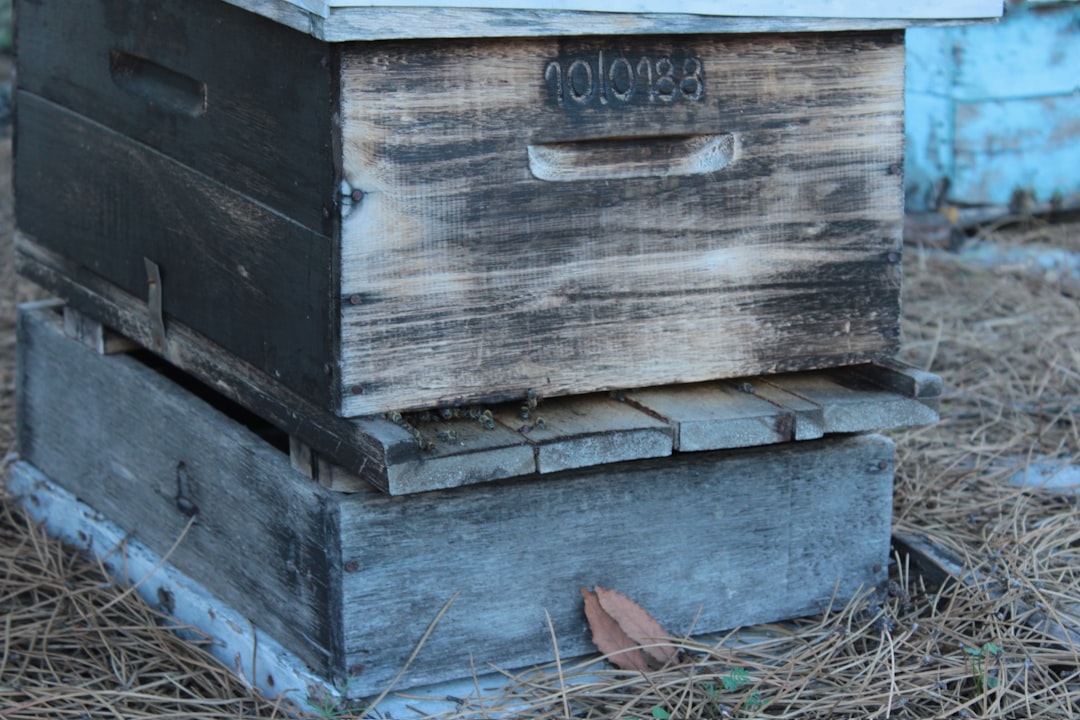 Propolis