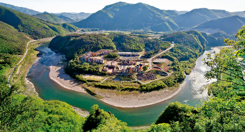 강아지 동반 여행지 추천