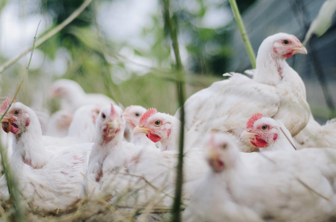 띠별 운세 10월 26일