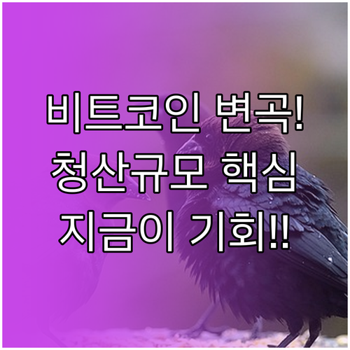 선물 청산 규모로 예측하는 비트코인 ..