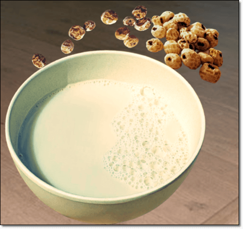 타이거너츠 오르차타