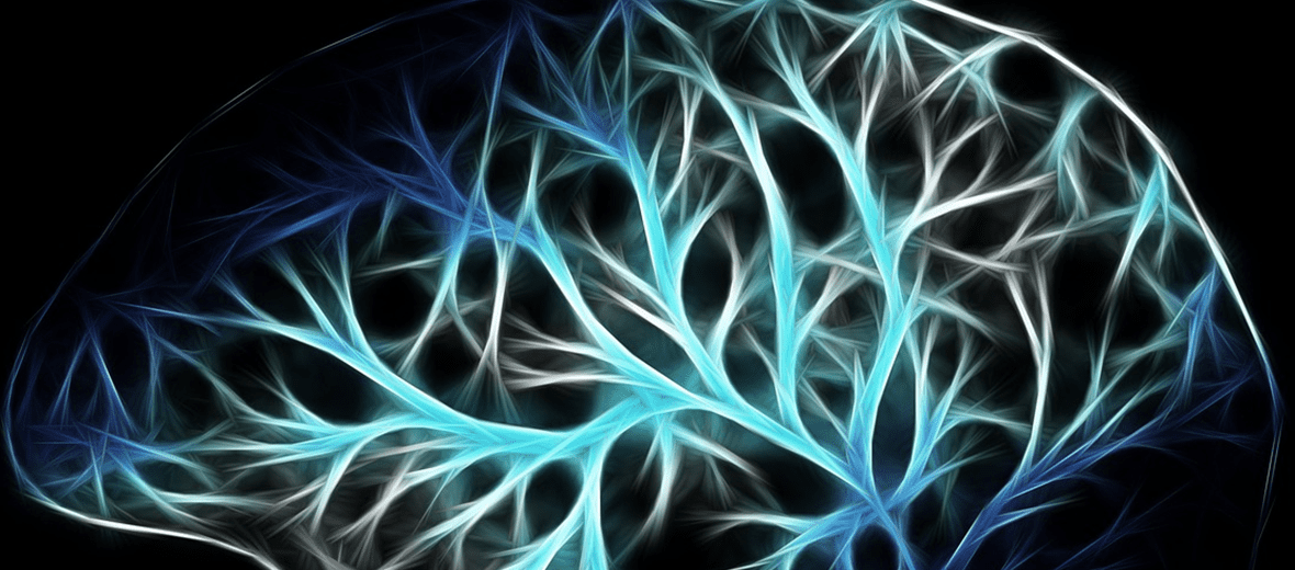 협산 효능과 관련 된 사진 - 7