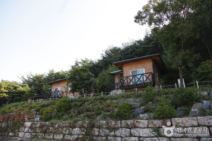 구미 가볼만한곳 베스트10