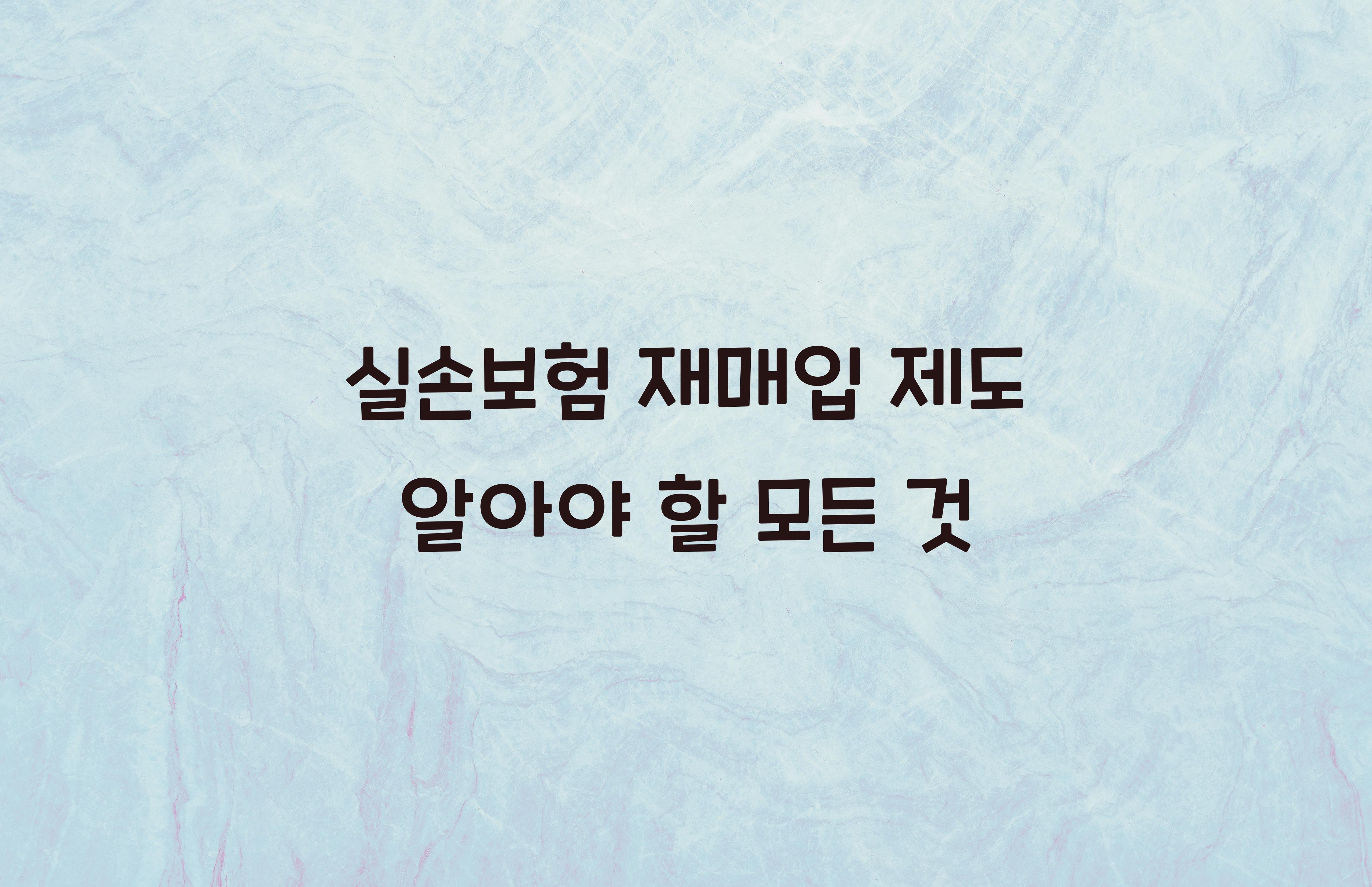 실손보험 재매입 제도