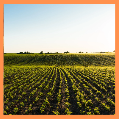 농식품바우처지원대상 