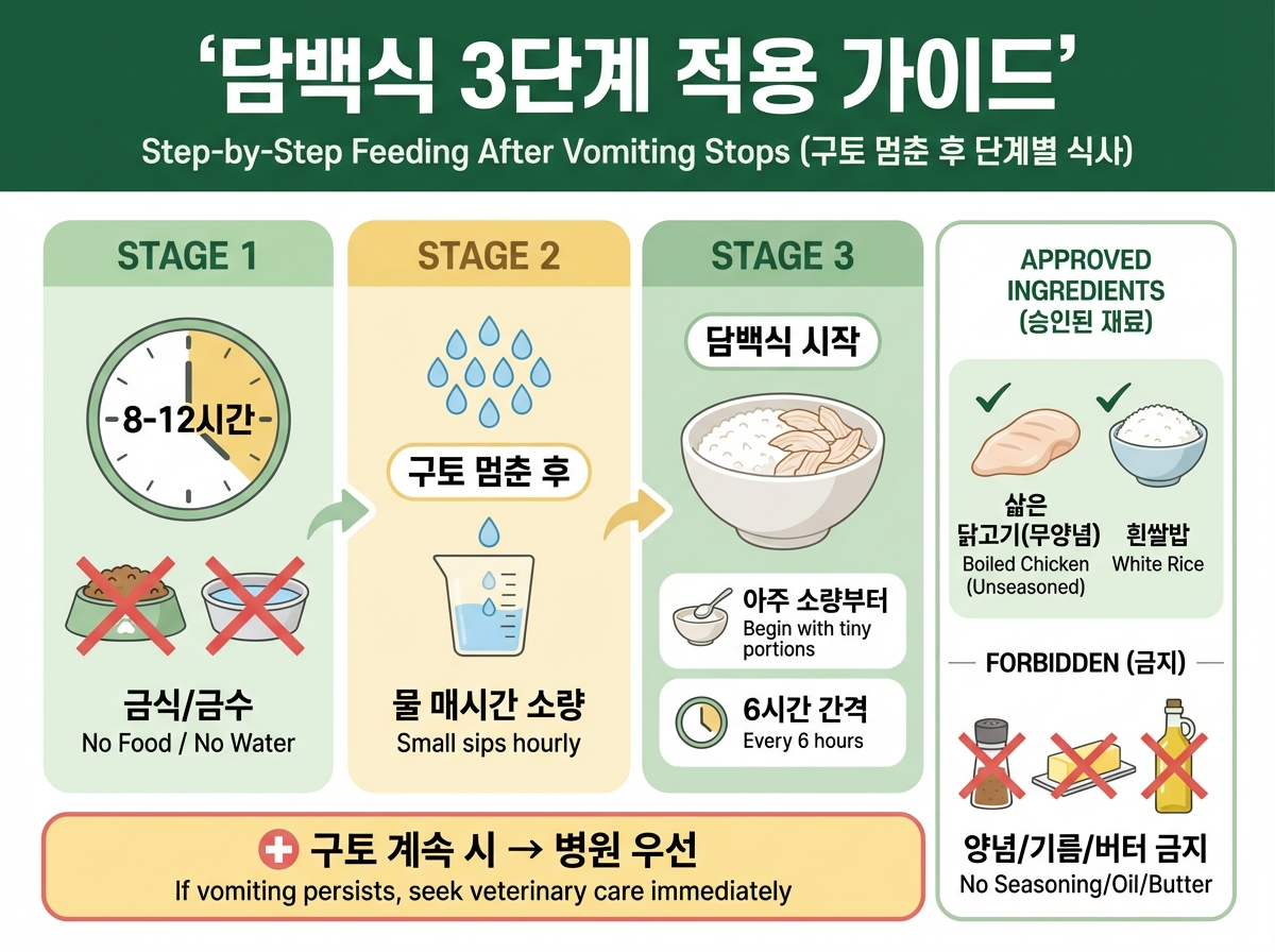 담백식 3단계