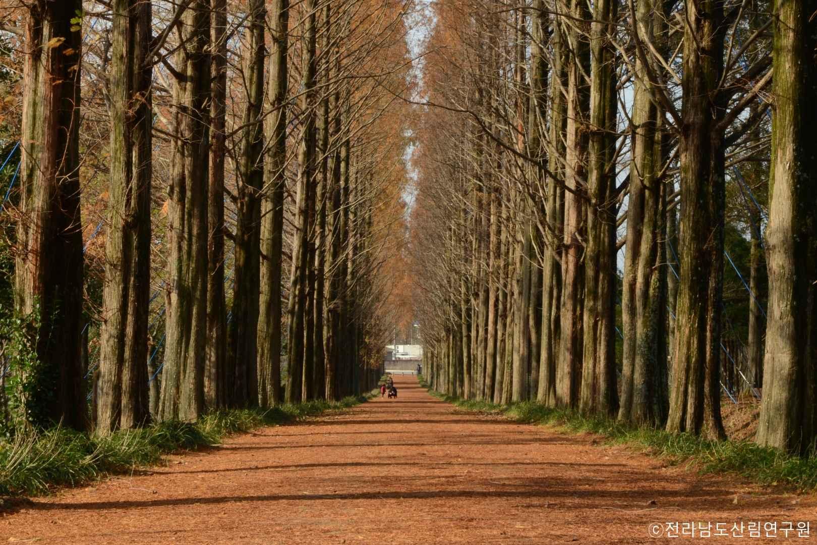 나주 가볼만한곳 베스트10