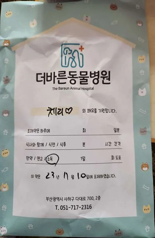 더바른동물병원