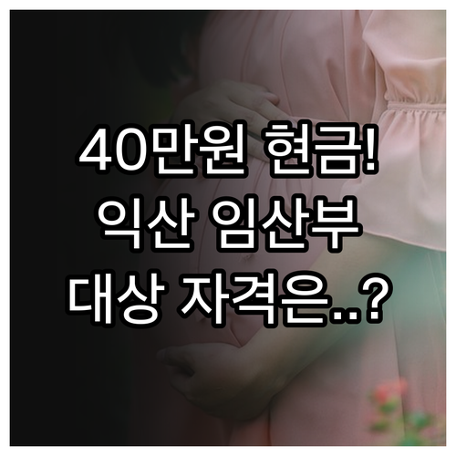 2025 익산시 임산부 40만원 현금..
