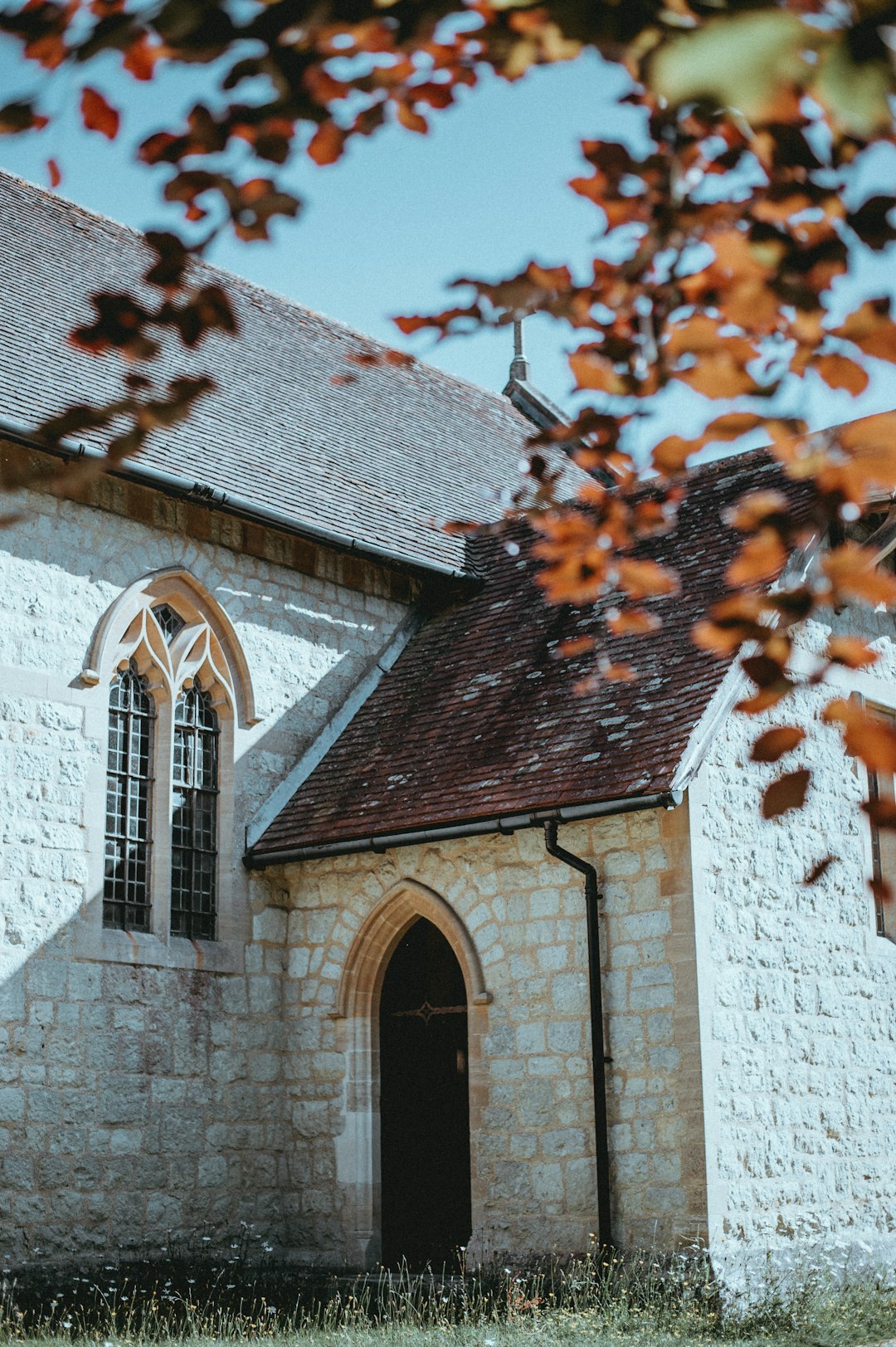 2025 파이코인 상장: 기대감 증폭과 시장 전망 분석 관련 이미지 1