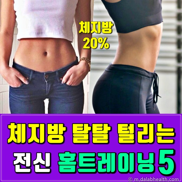 체지방 줄이는 운동,체지방 줄이기,팁줌