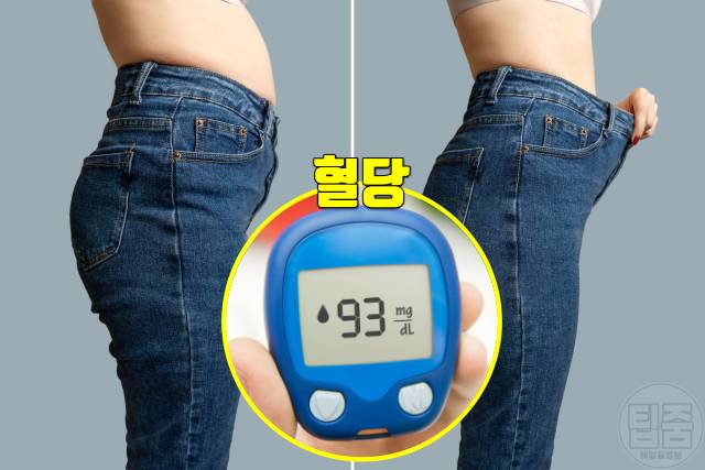 토마토효능 토마토 매일 먹으면 혈당 다이어트