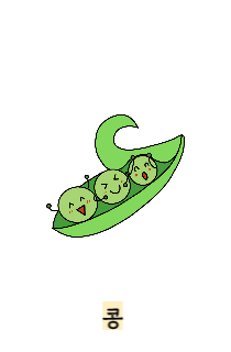 체지방률-정상범위