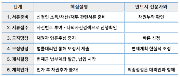 개인회생 절차 요약