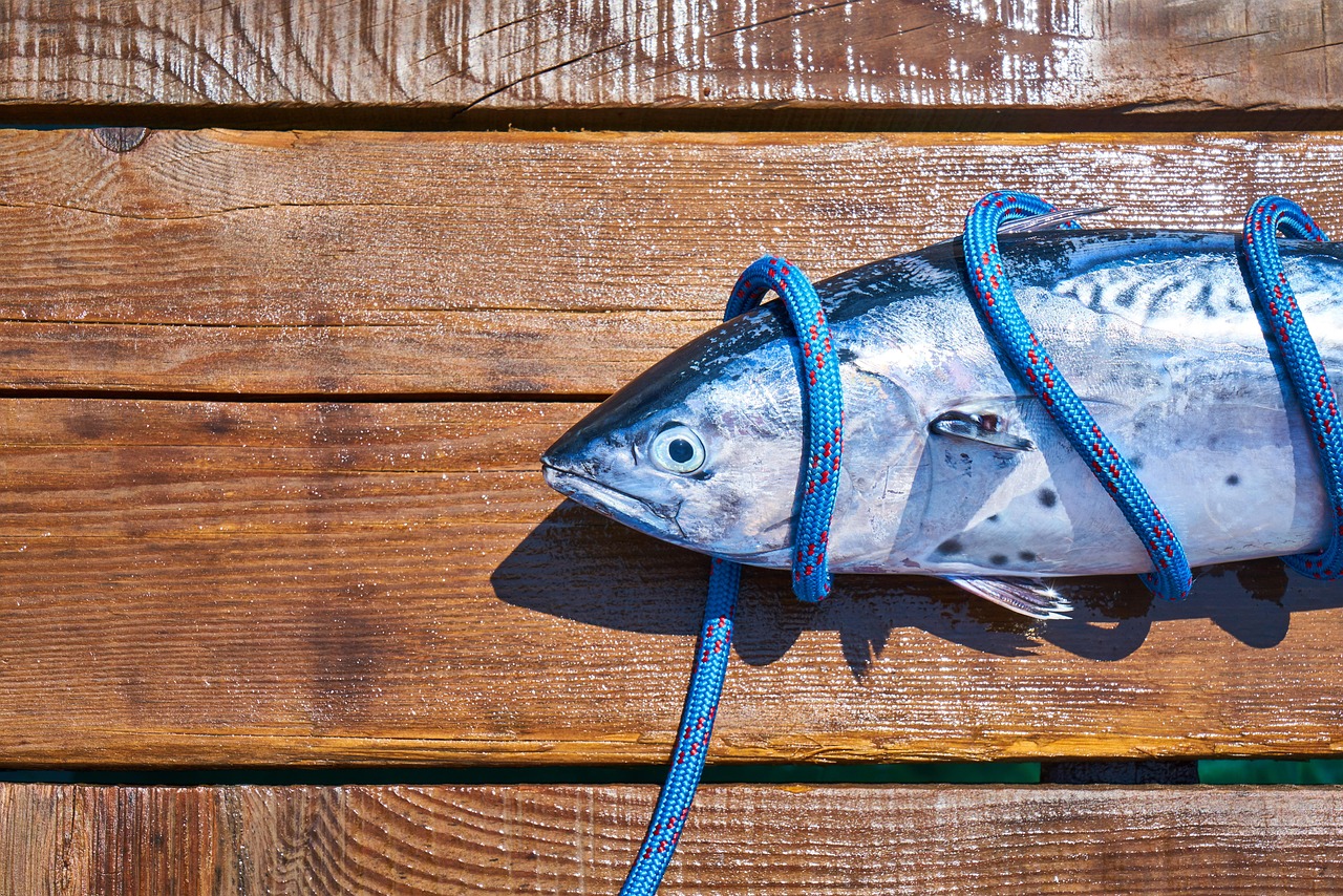 간건강을 위한 오메가3 활용법