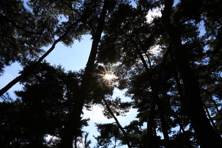 경주 가볼만한곳 베스트10