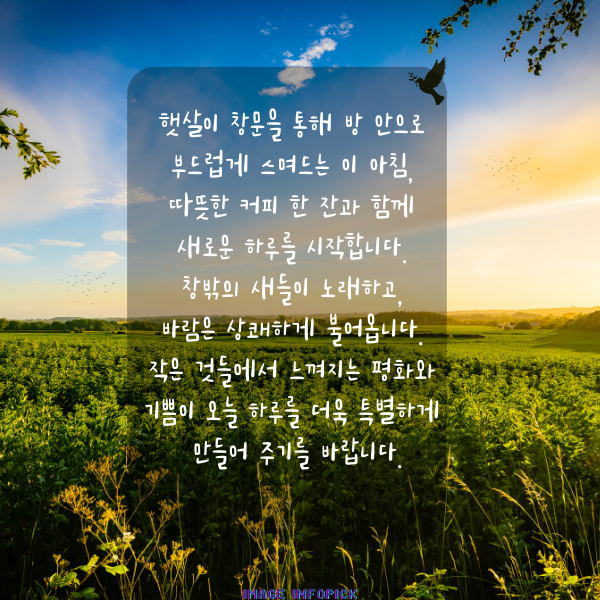 아침 인사로 좋은 글 이미지 아침 인사말 문구 모음