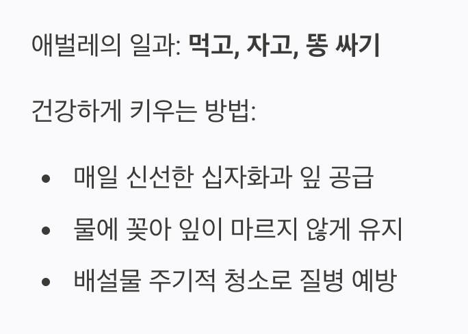 먹고, 자고, 싸고! 열일하는 애벌레