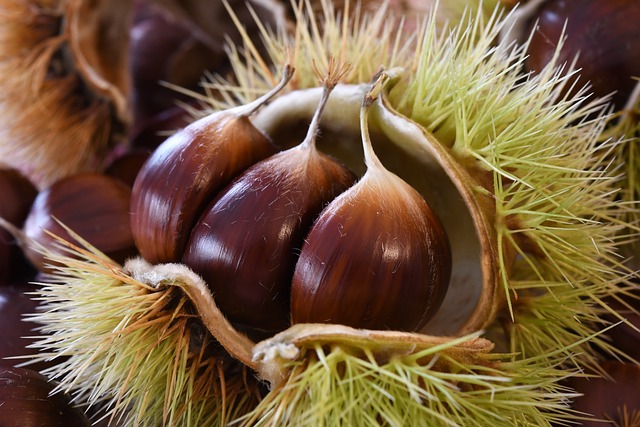 Chestnuts