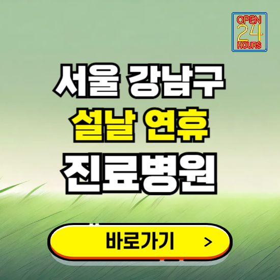 서울 강남구 설날 연휴 진료병원 찾기 ❘ 24시 응급 야간 심야 문여는 병원