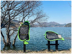 천년의 숲길 