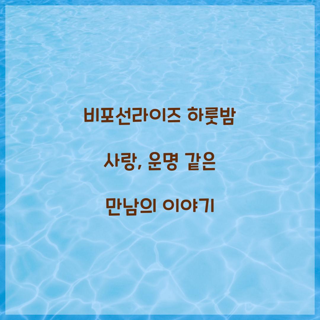 비포선라이즈 하룻밤 사랑