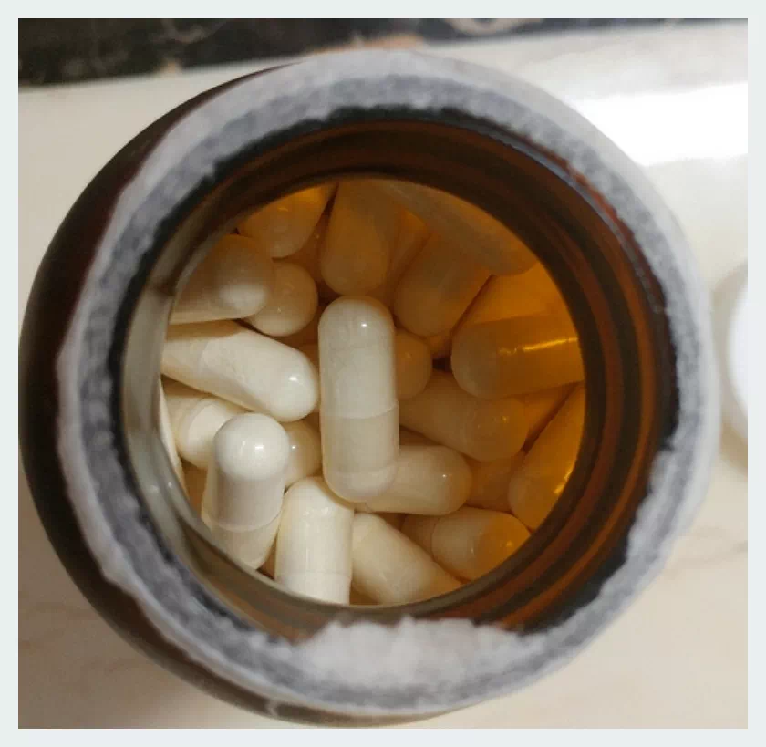 닥터머콜라 유산균 알약형태