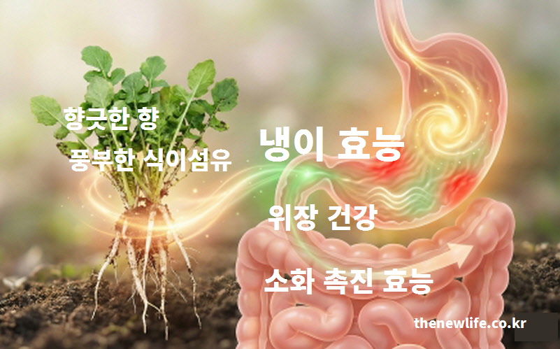 풍부한 식이섬유로 소화를 돕고 위장 건강과 변비 개선에 도움을 주는 냉이 효능 설명 이미지