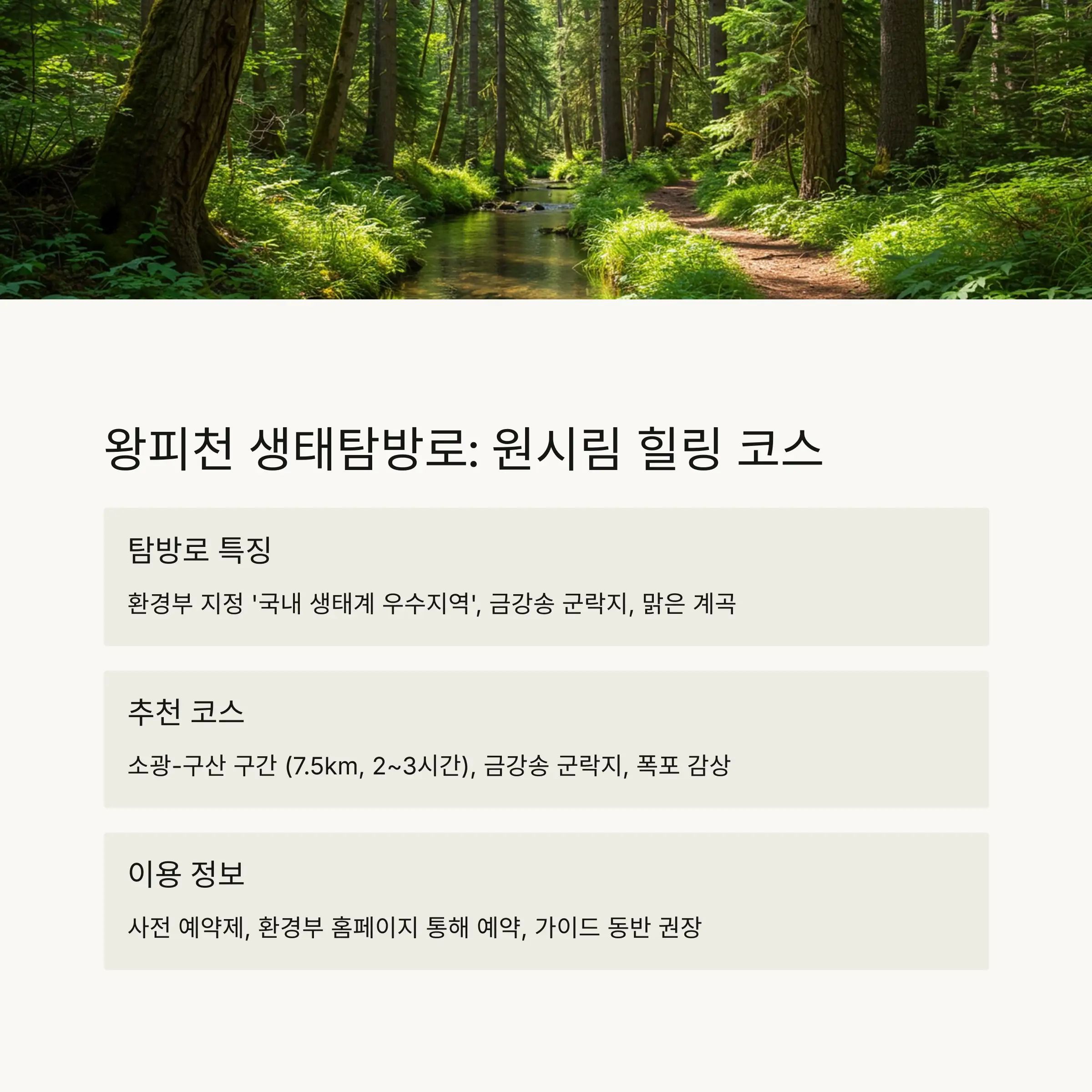 🌿 왕피천 생태탐방로: 원시림 힐링 코스