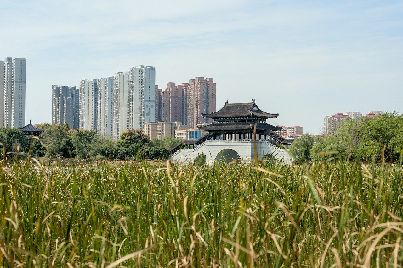 도시 공원