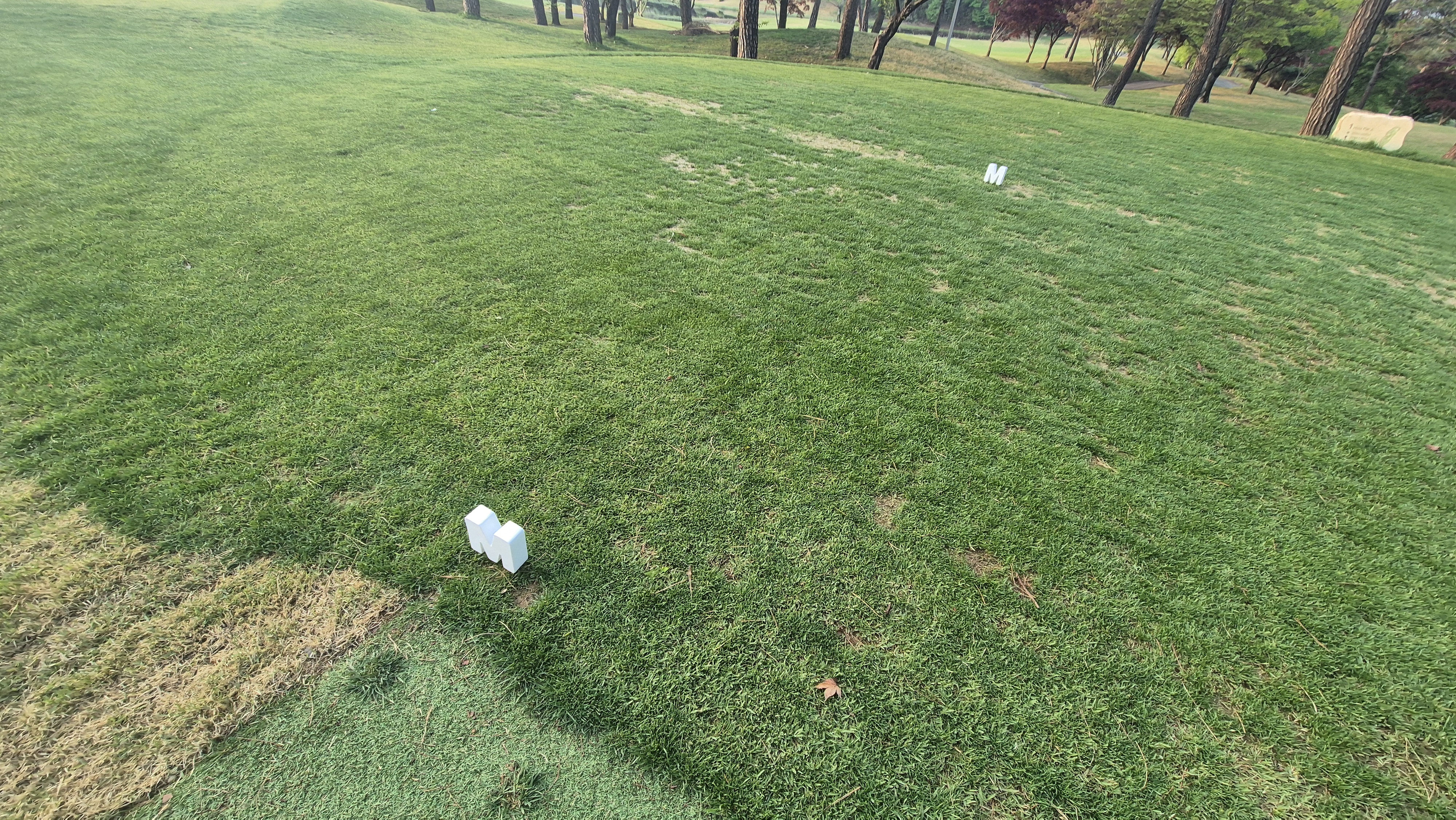 마에스트로cc 라운드 후기