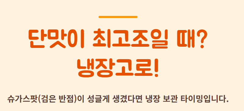 바나나 보관법