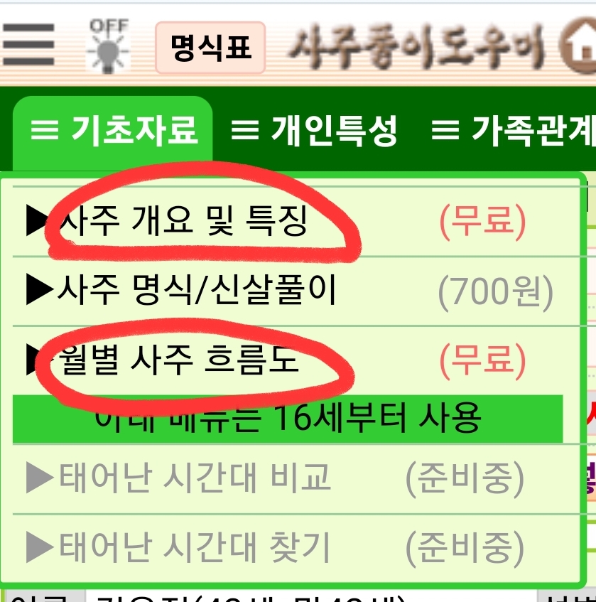 사주풀이 도우미 사주개요및특징과 월별 사주 흐름도