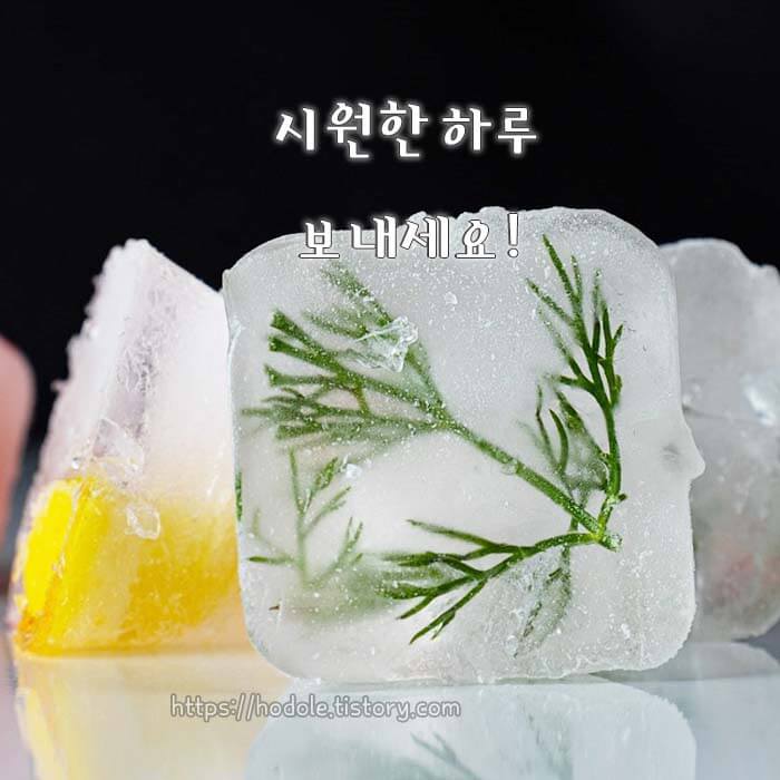 시원한 하루 이미지