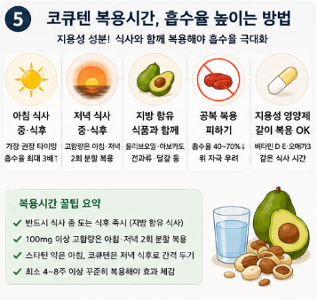 코큐텐-효능-혈압-효과-성분-함량-복용시간-추천-제품