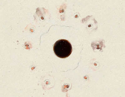 티 테이스팅 완벽 가이드 - 차 맛과 향 감별법, 전문가처럼 즐기기