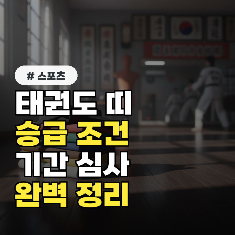 태권도 띠 승급, 각 띠별 기간과 심사 조건 상세 정리