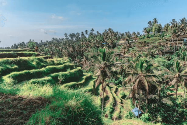 발리 숙소 추천: 풀빌라부터 가성비 호텔까지