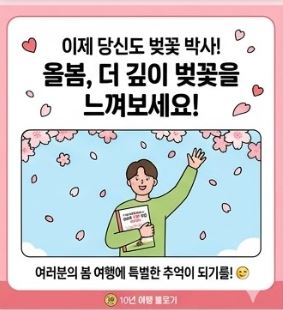 벚꽃 상식
