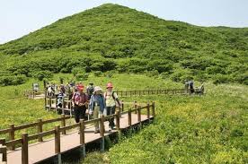 인제 점봉산 곰배령 예약