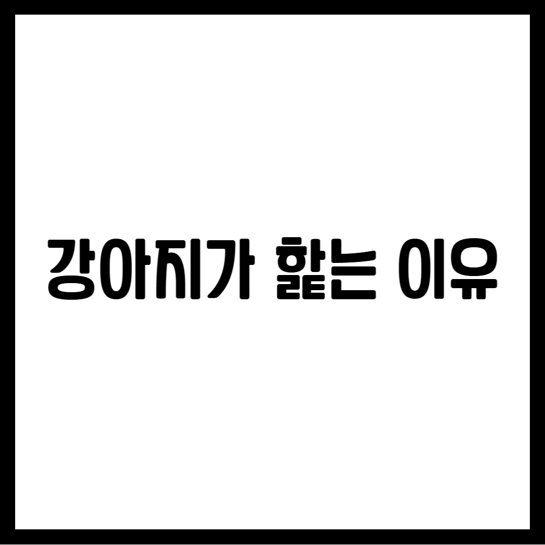 강아지가핥는이유